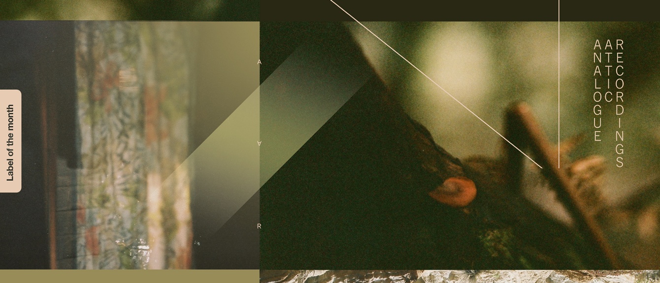 Label Of The Month: Analogue Attic · Feature ⟋ RA
