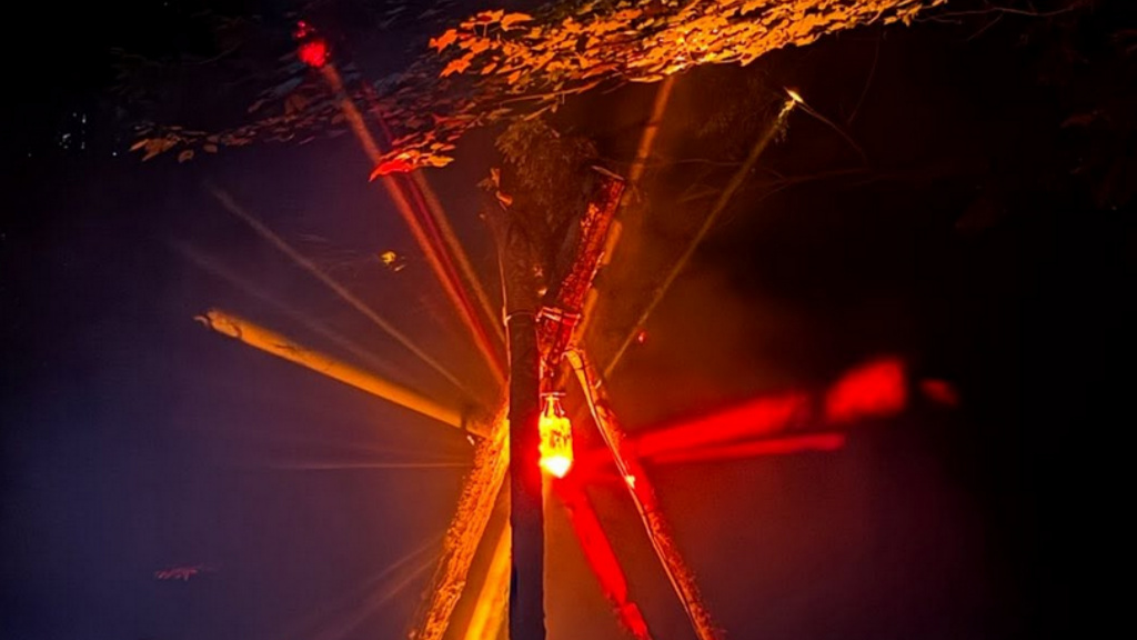 Eris Drew and Octo Octa's forest rave, System Activate, reveals 2026 lineup · News ⟋ RA