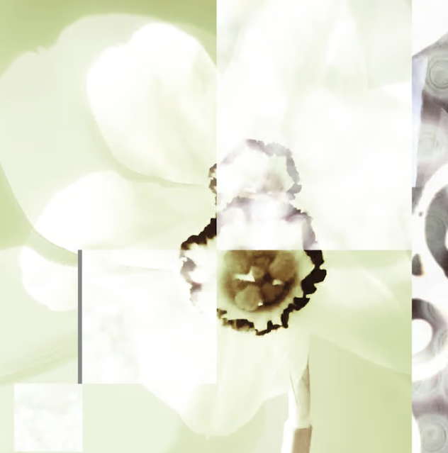 New Pablo's Eye album to be released via STROOM · News ⟋ RA
