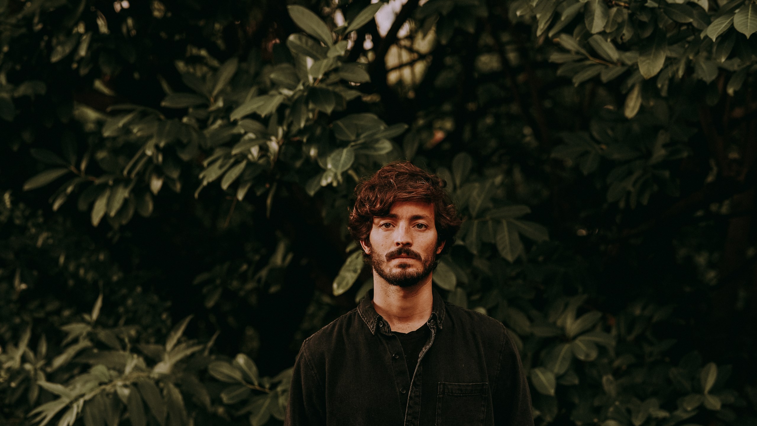 FAUSTO · Artist Profile