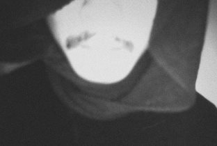 Phuong Dan · Perfil del artista