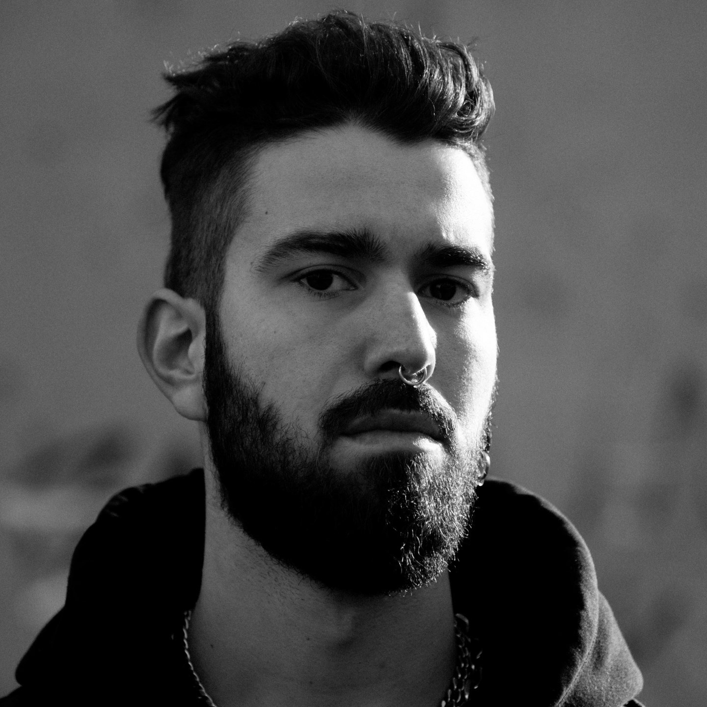  nz artist profile