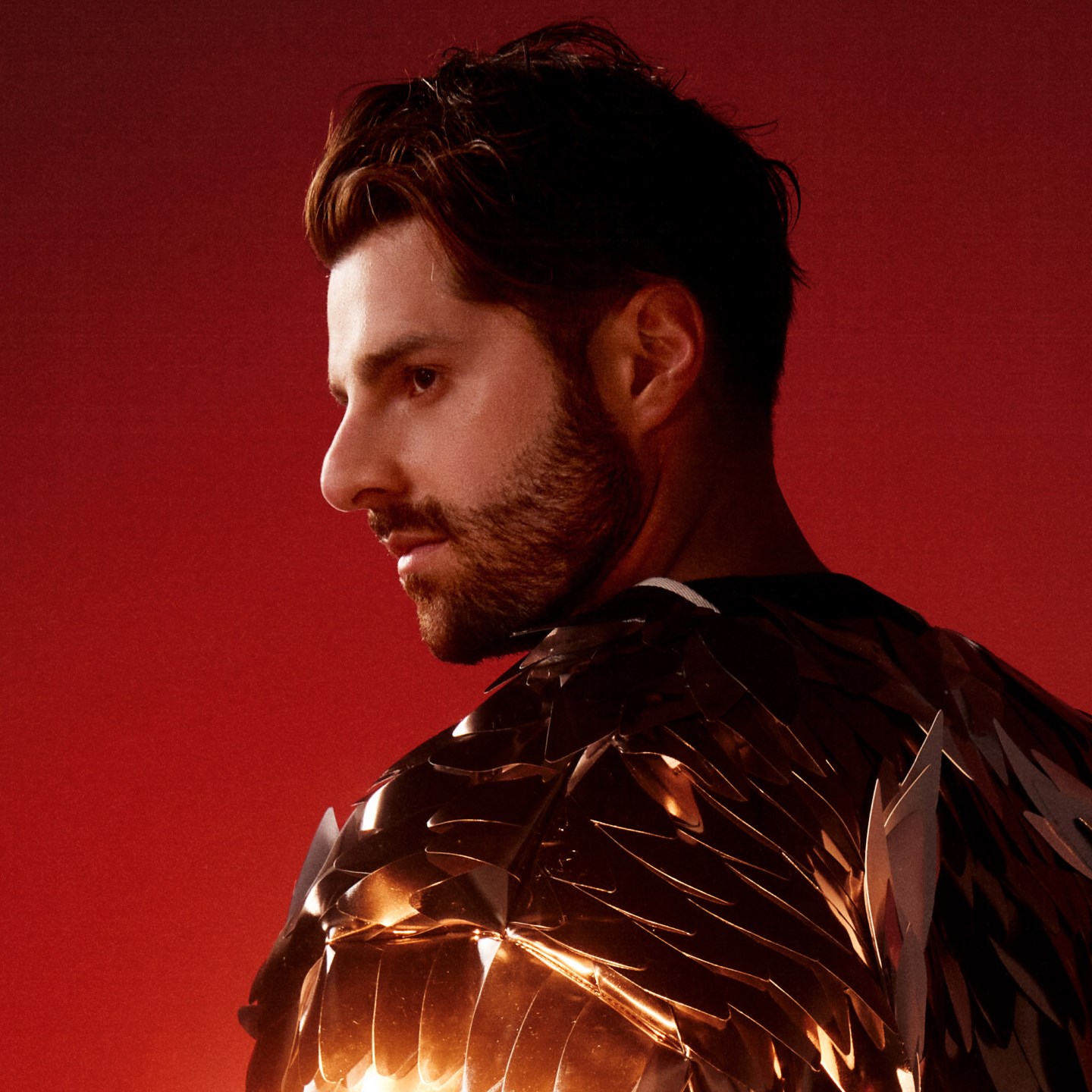 Alok · Artist Profile