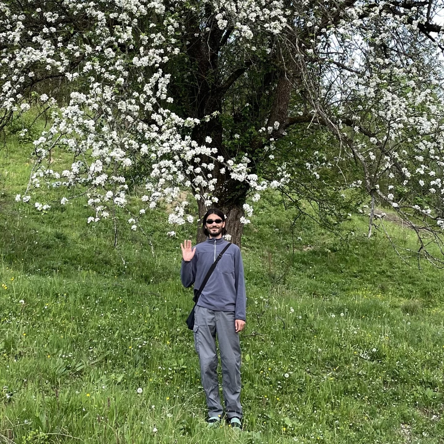Amir (1) · Artist Profile