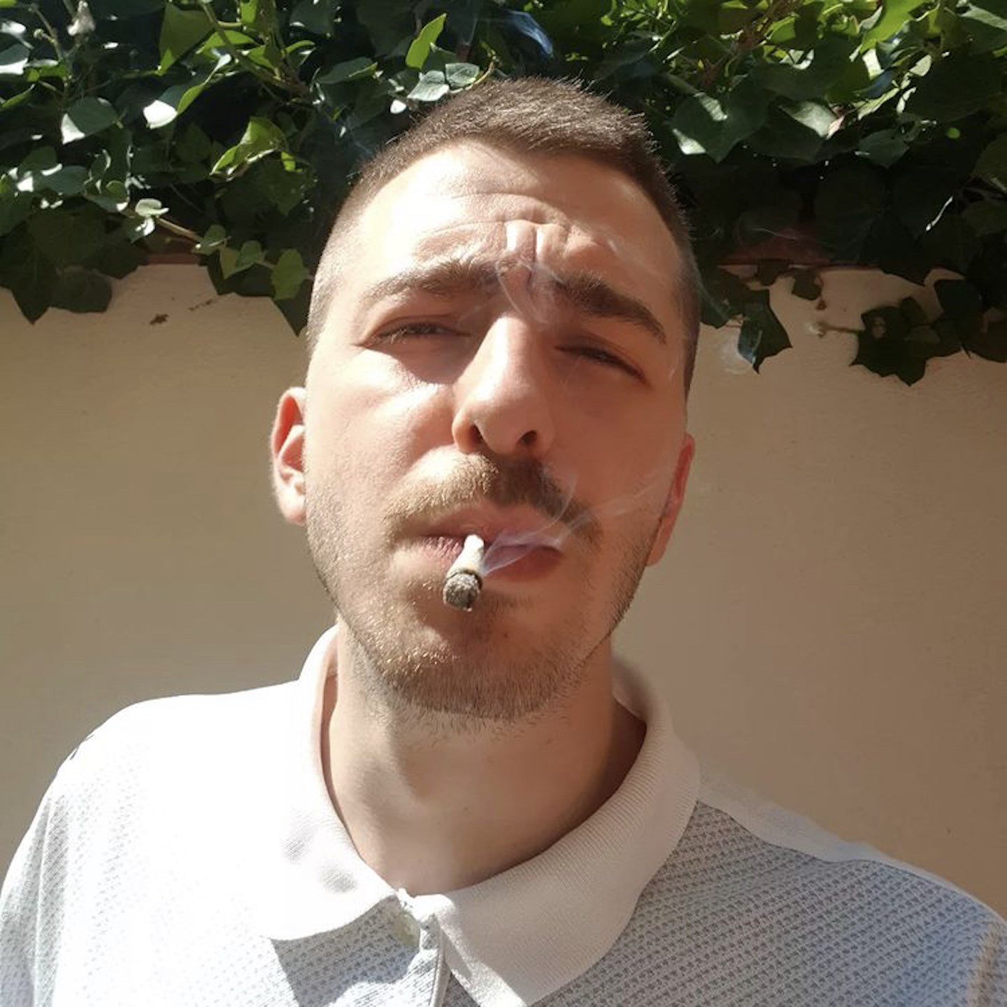 Antonio visual data 5