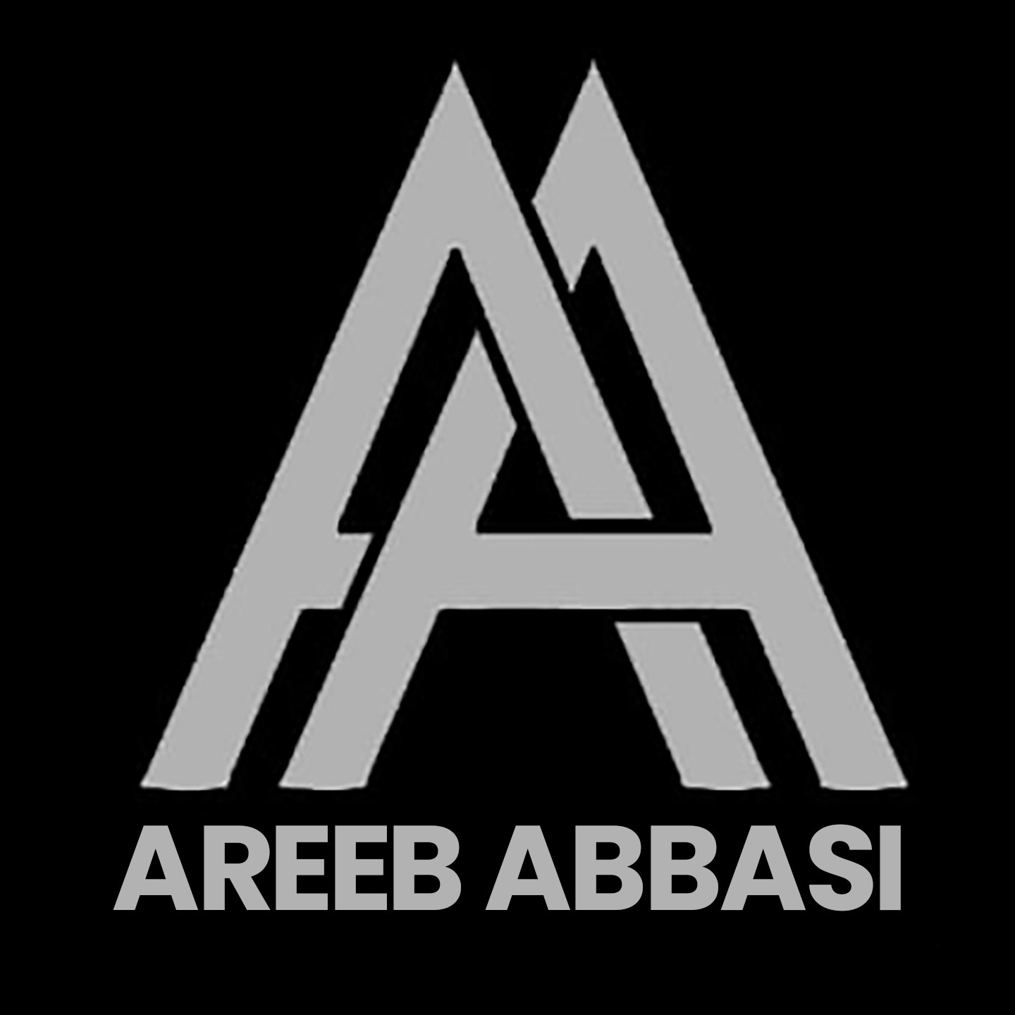 Areeb Abbasi · Artist Profile