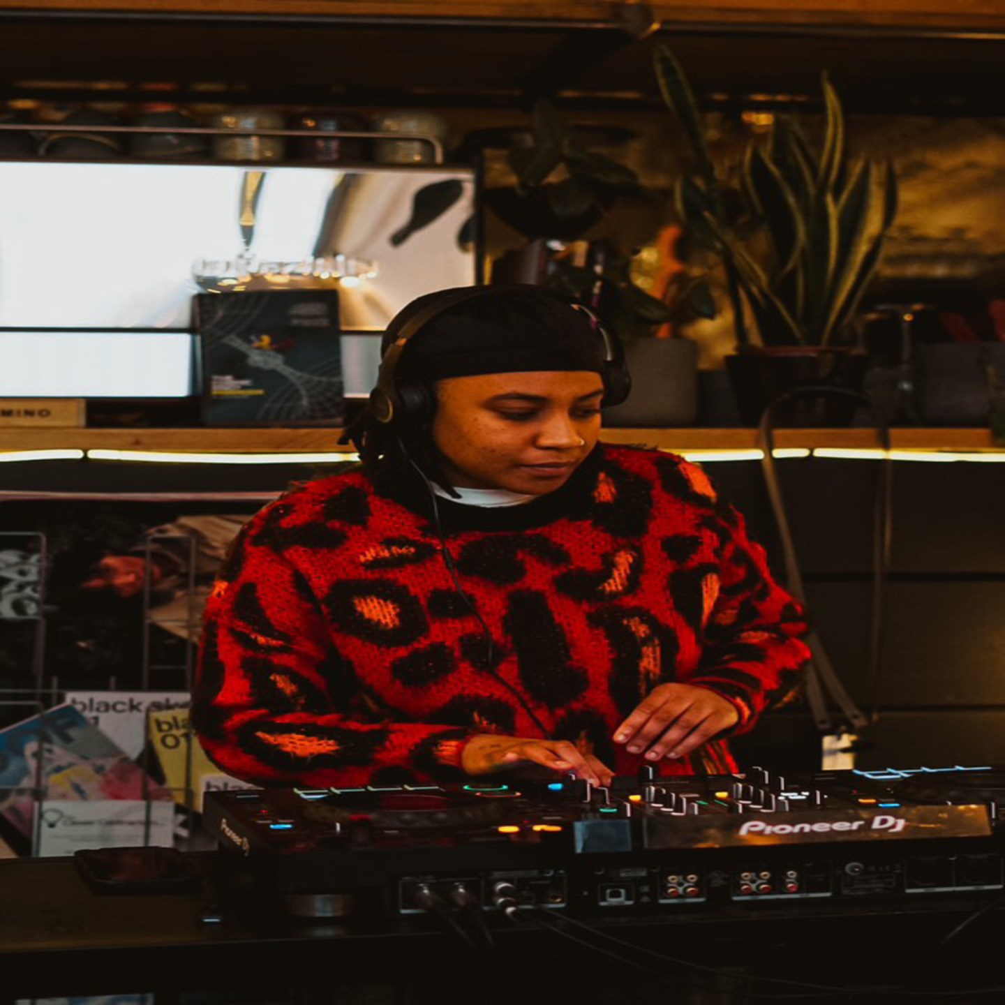 AUDIO DUNE · Artist Profile