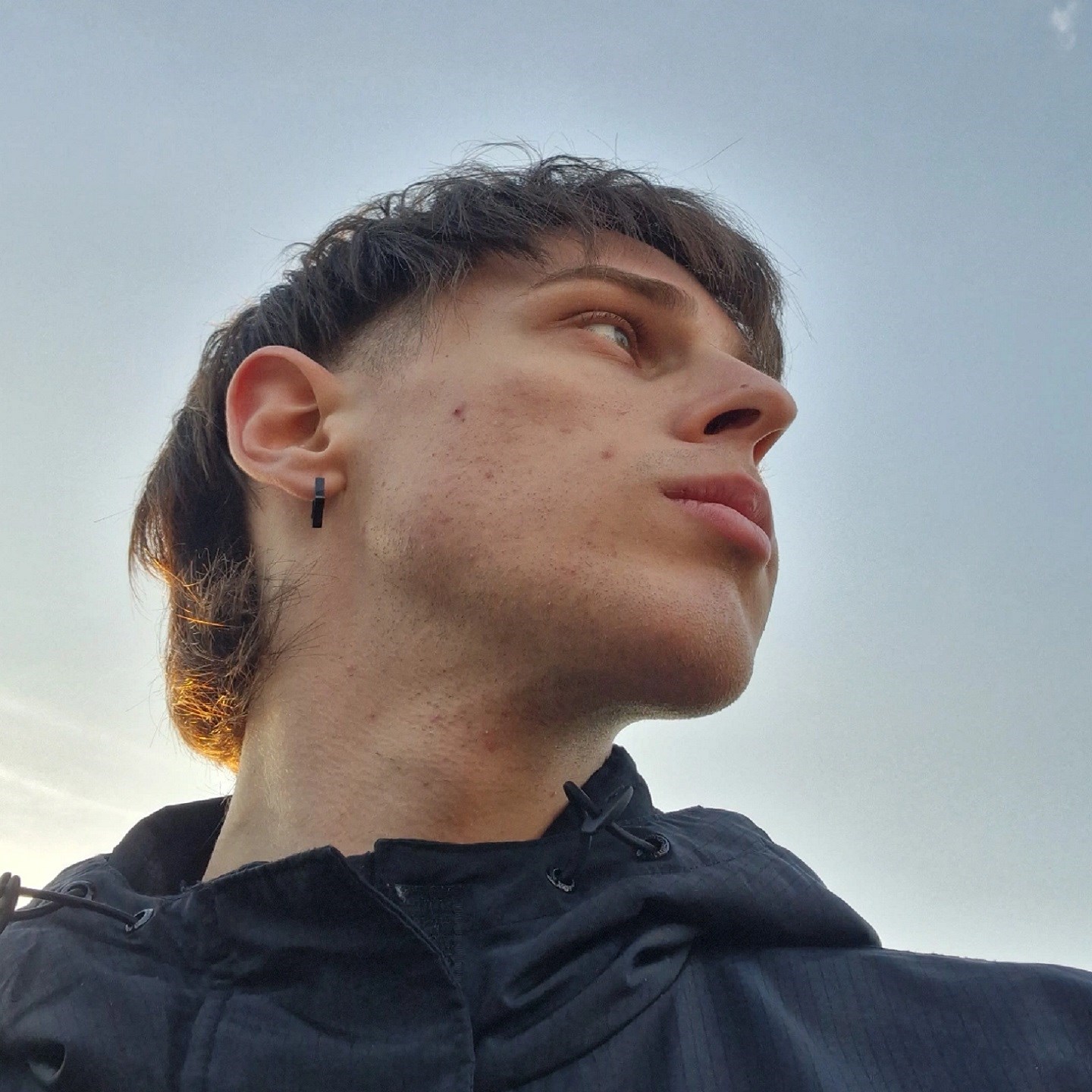 berlaced · Artist Profile