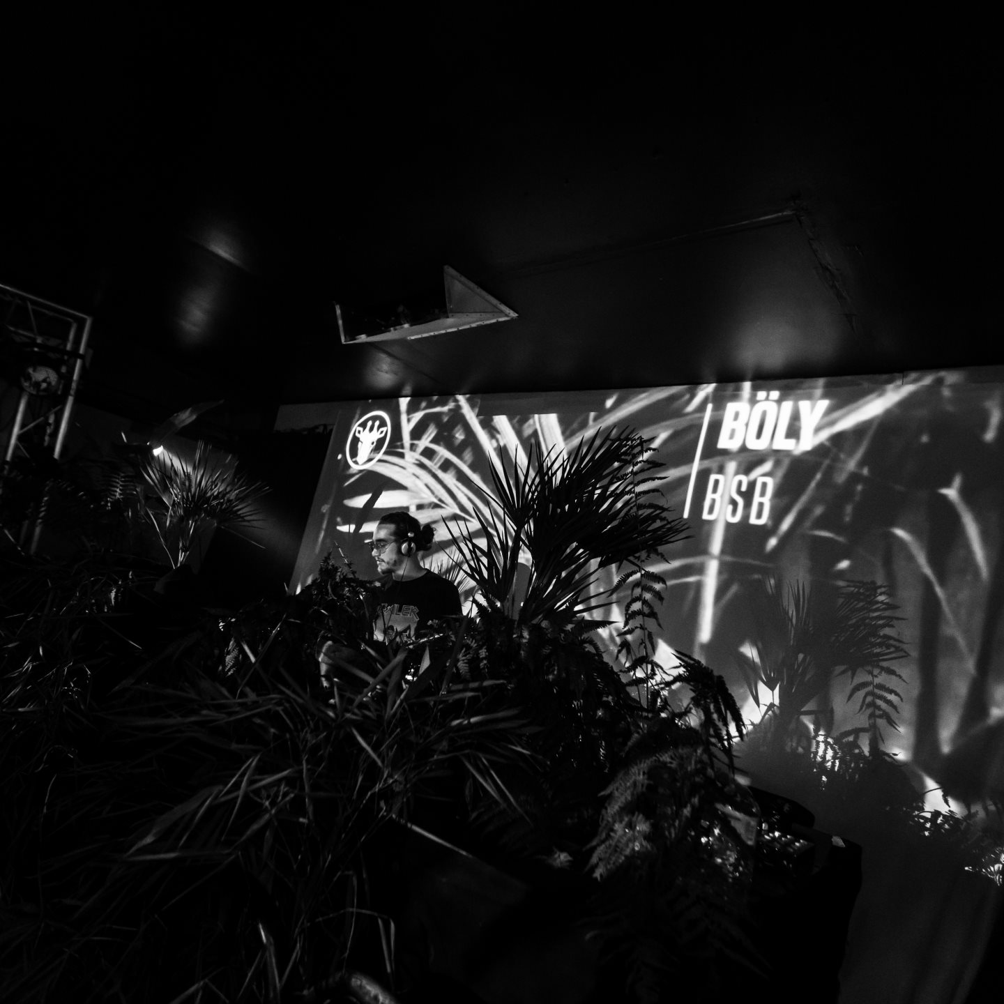 Böly · Artist Profile