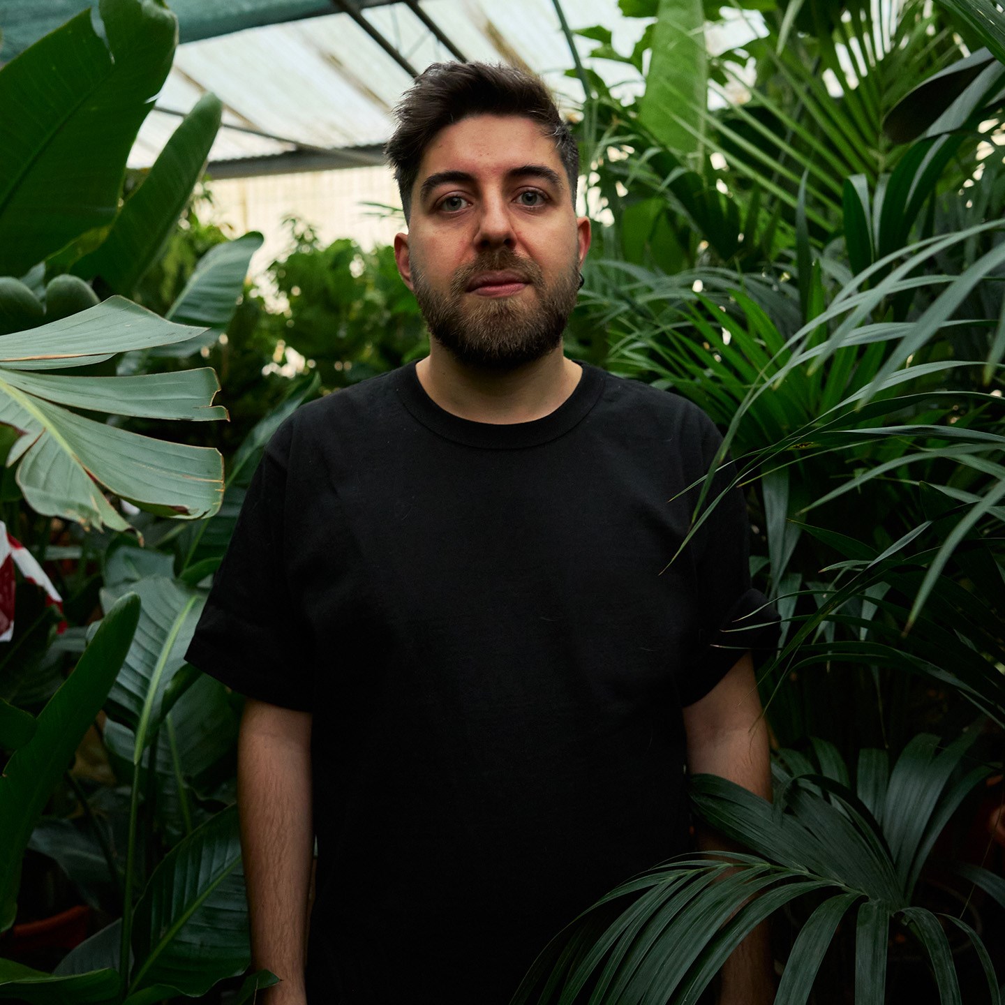Collider · Artist Profile