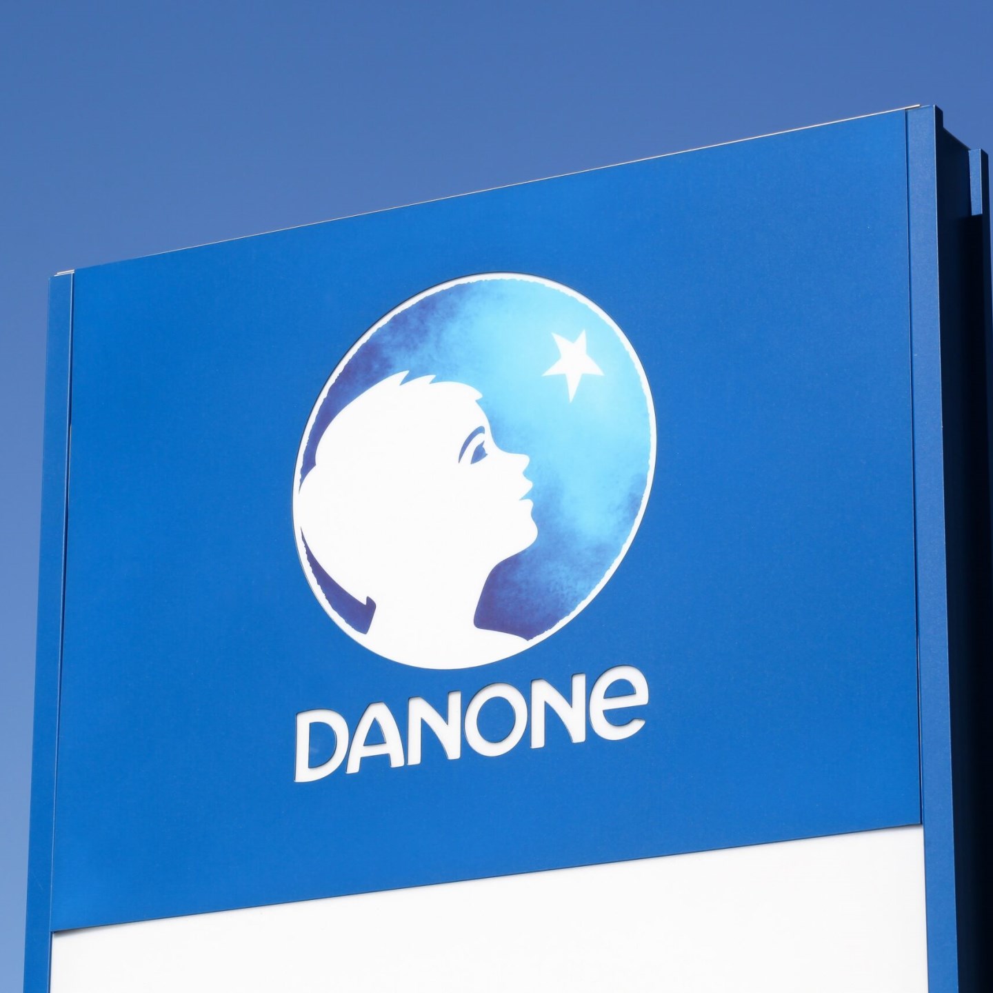 DANONE · Artist Profile