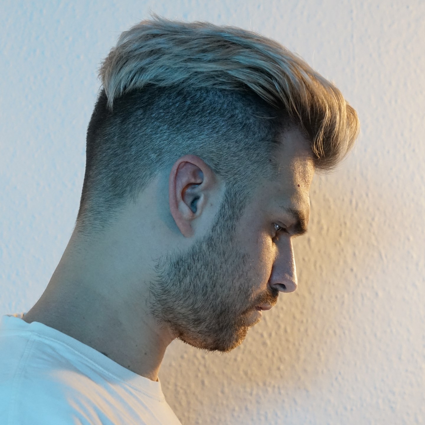 DVM (1) · Artist Profile