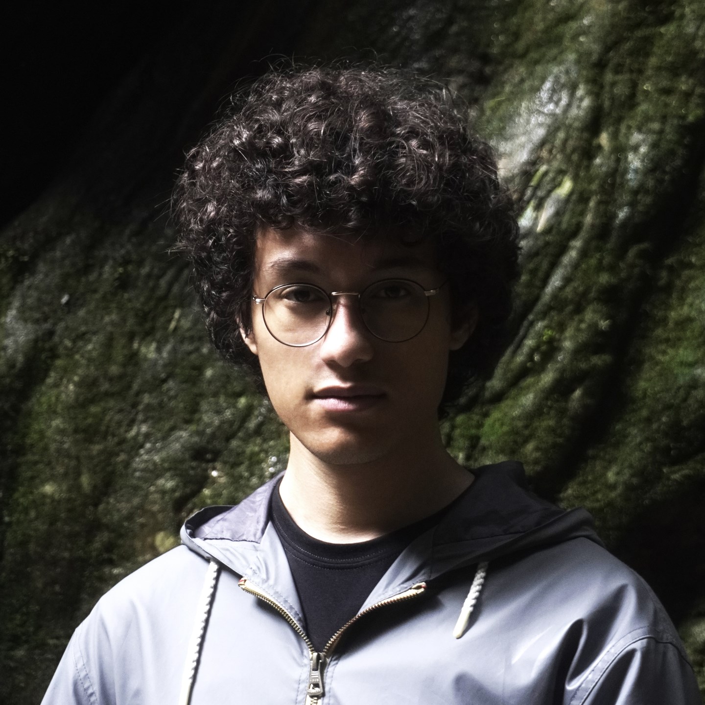 Feathervane · Artist Profile