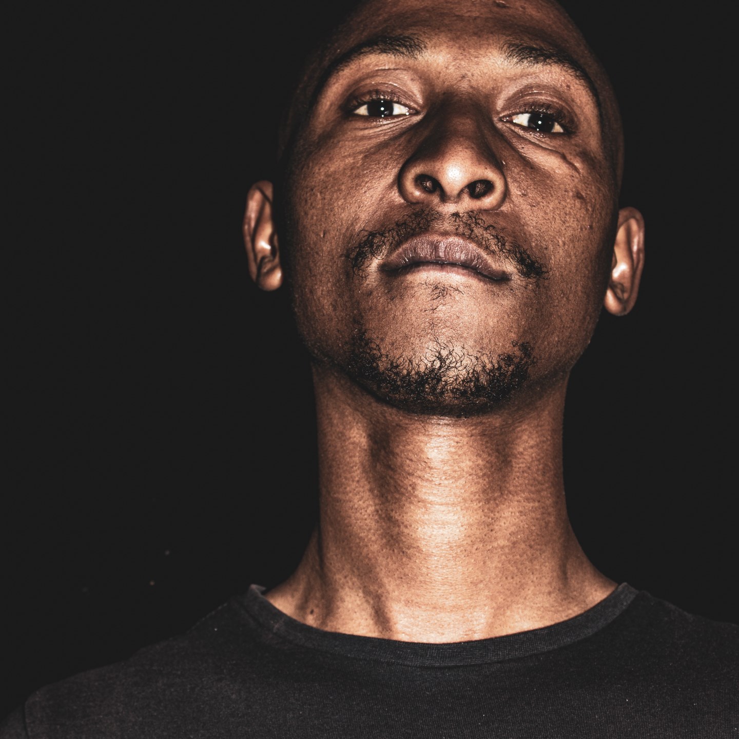 Frequency Shifters · Artist Profile