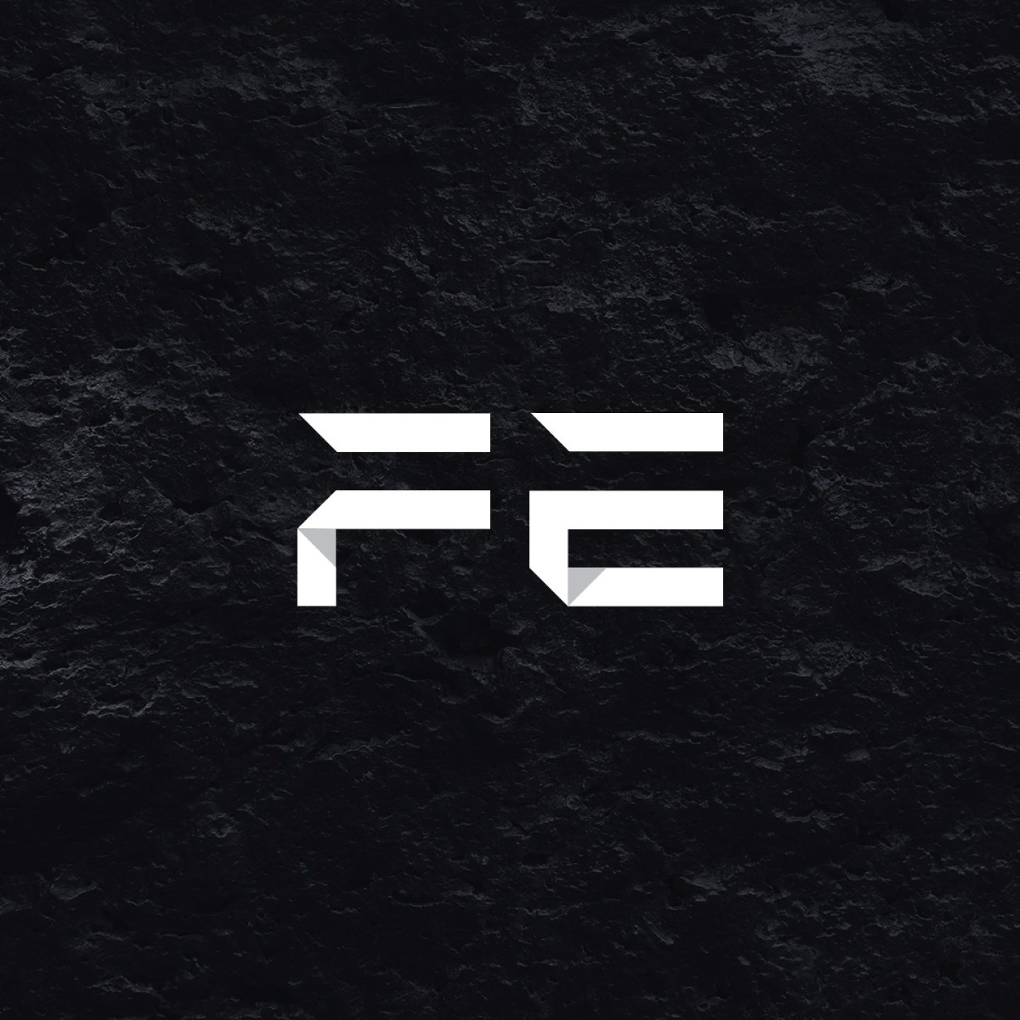 Future Engineers Artist Profile