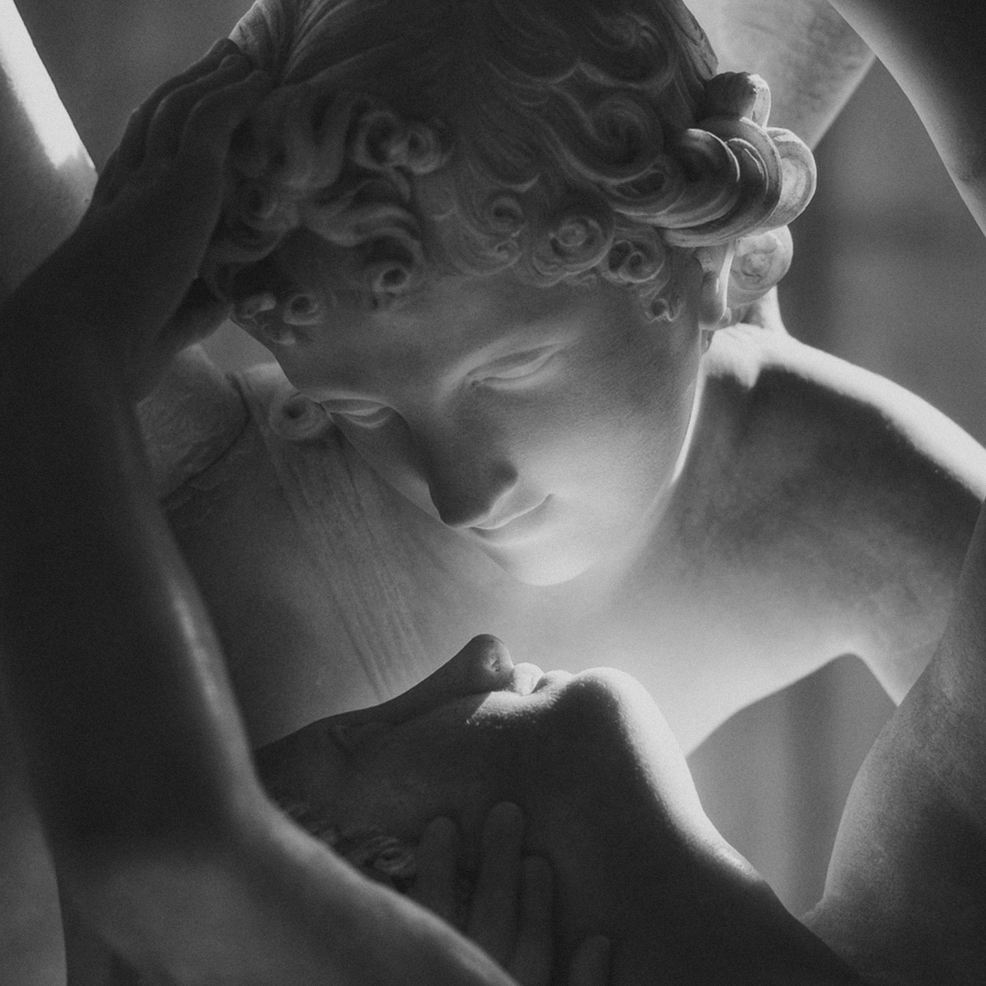 Komfort Artist Profile Komfort Artist Profile