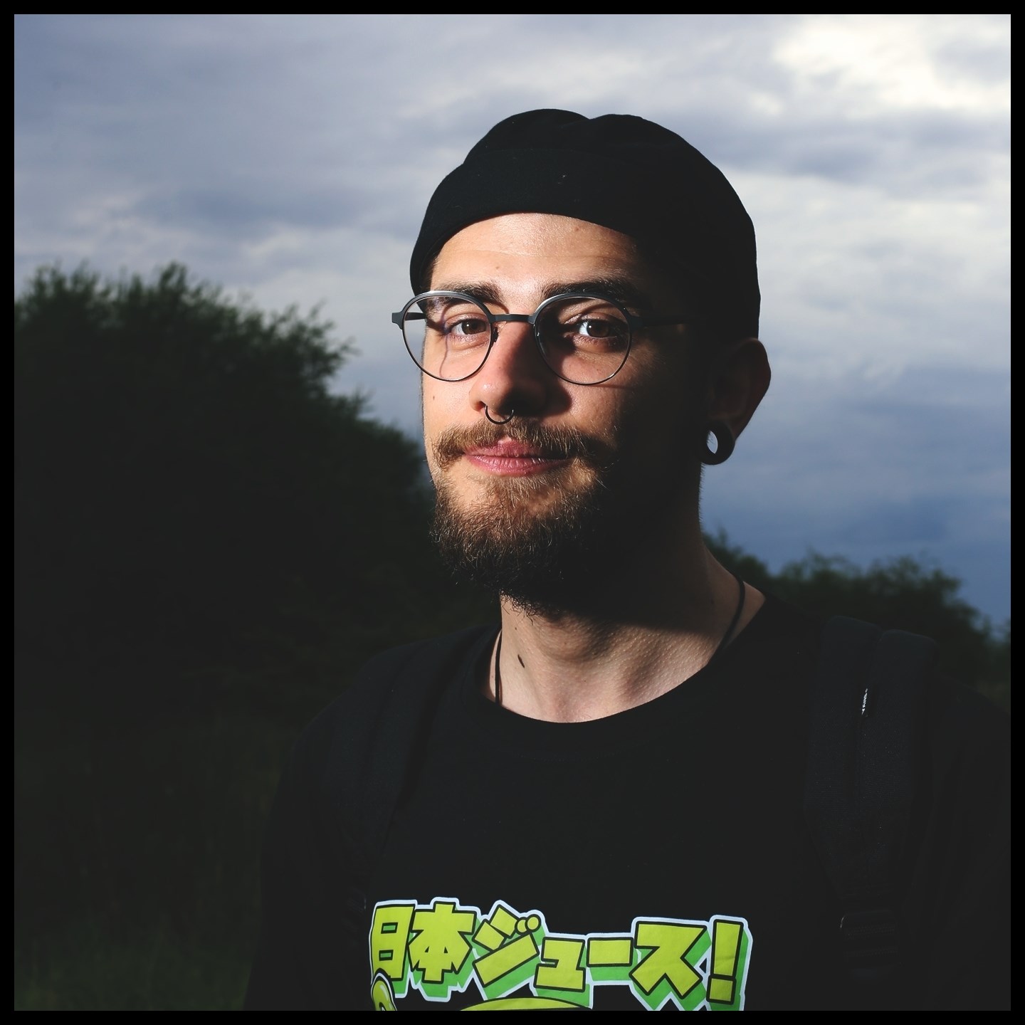 lascu-artist-profile