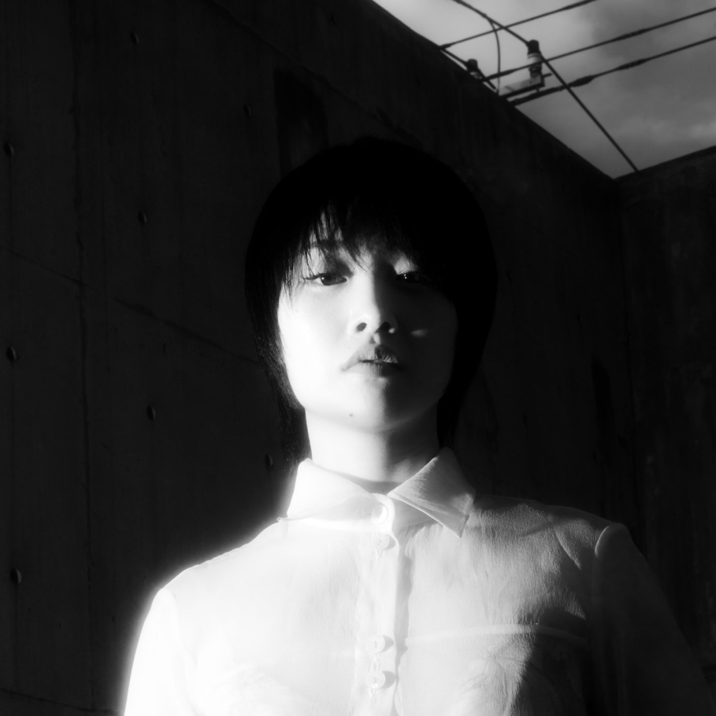 Lisa Mizuno · Artist Profile