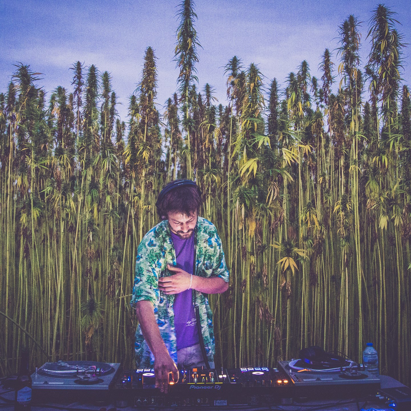 Meex · Artist Profile