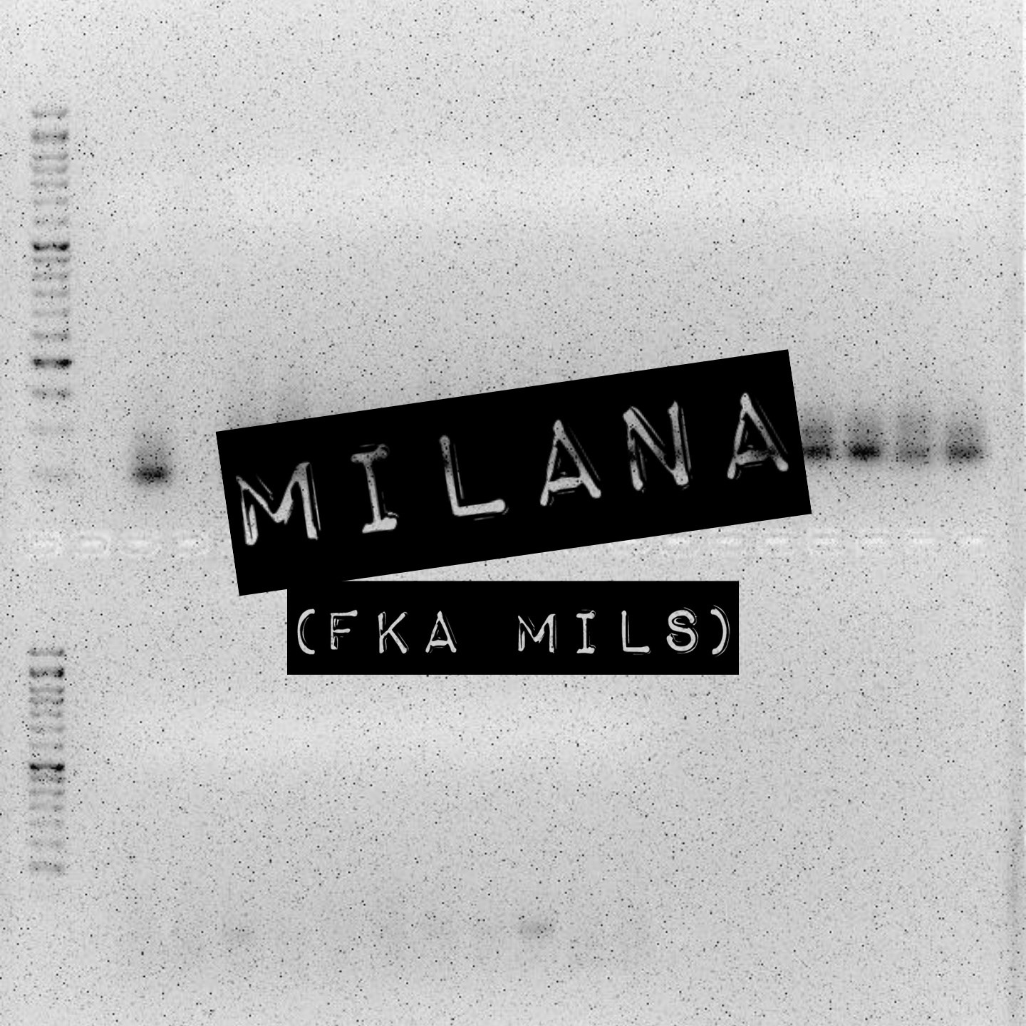 MILS · Artist Profile