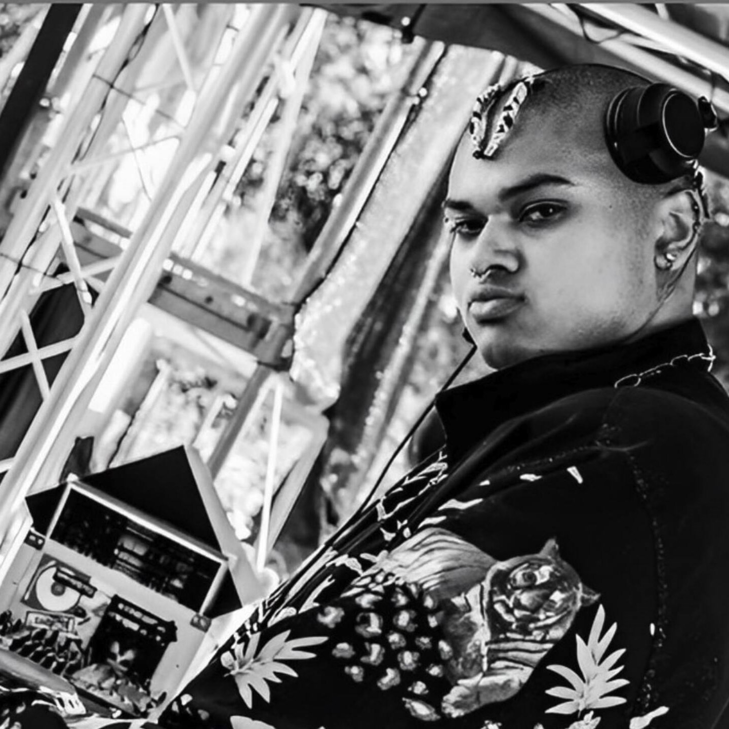 Negrophil · Artist Profile