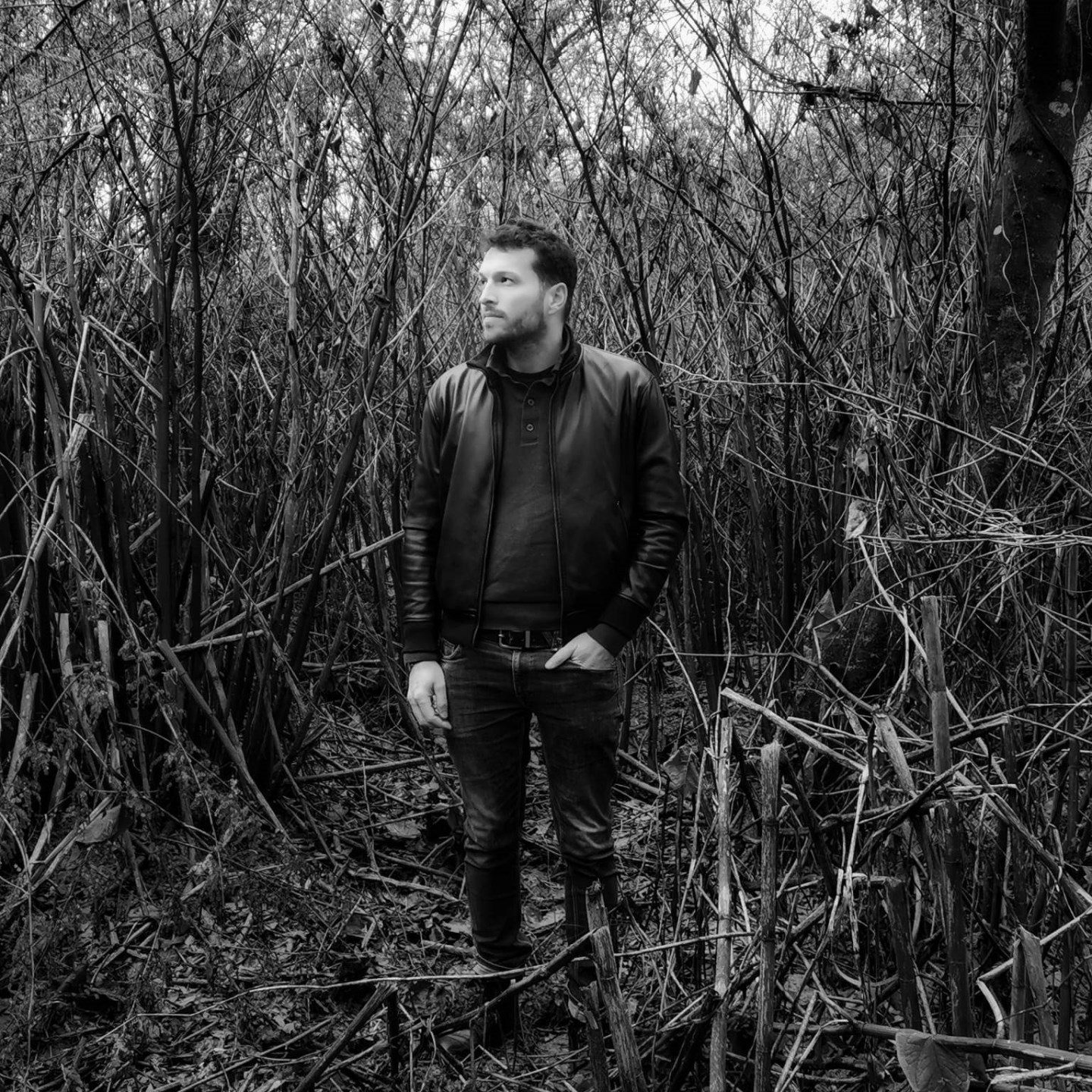 nzm-99-artist-profile