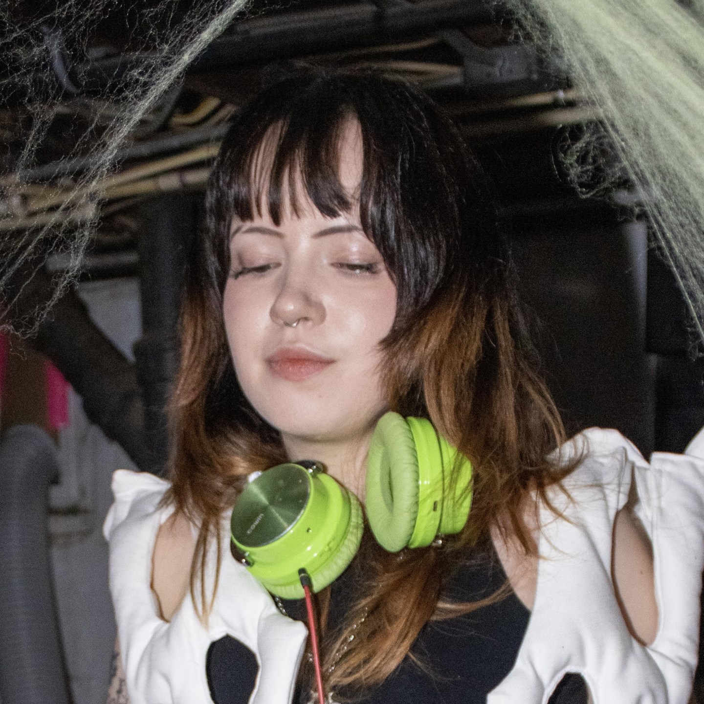 Princess Crown · Artist Profile