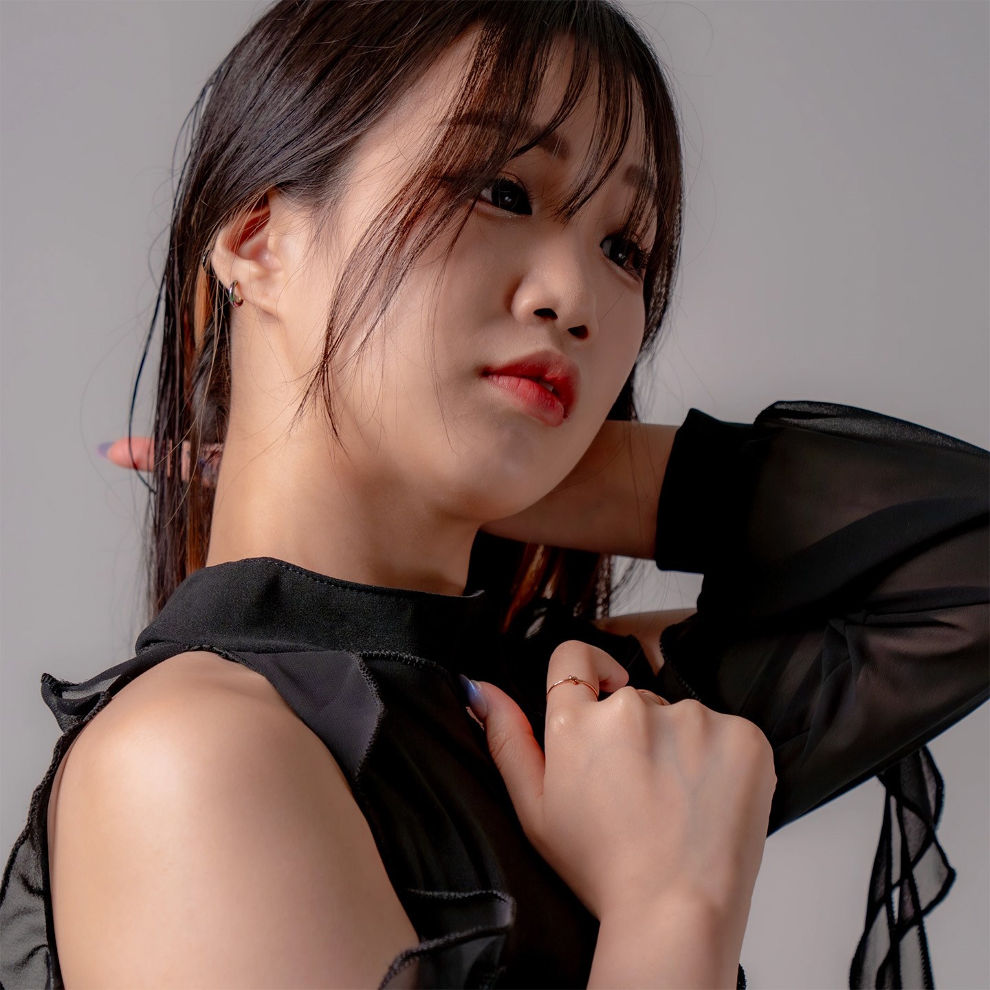 Purple Rabbit · Artist Profile