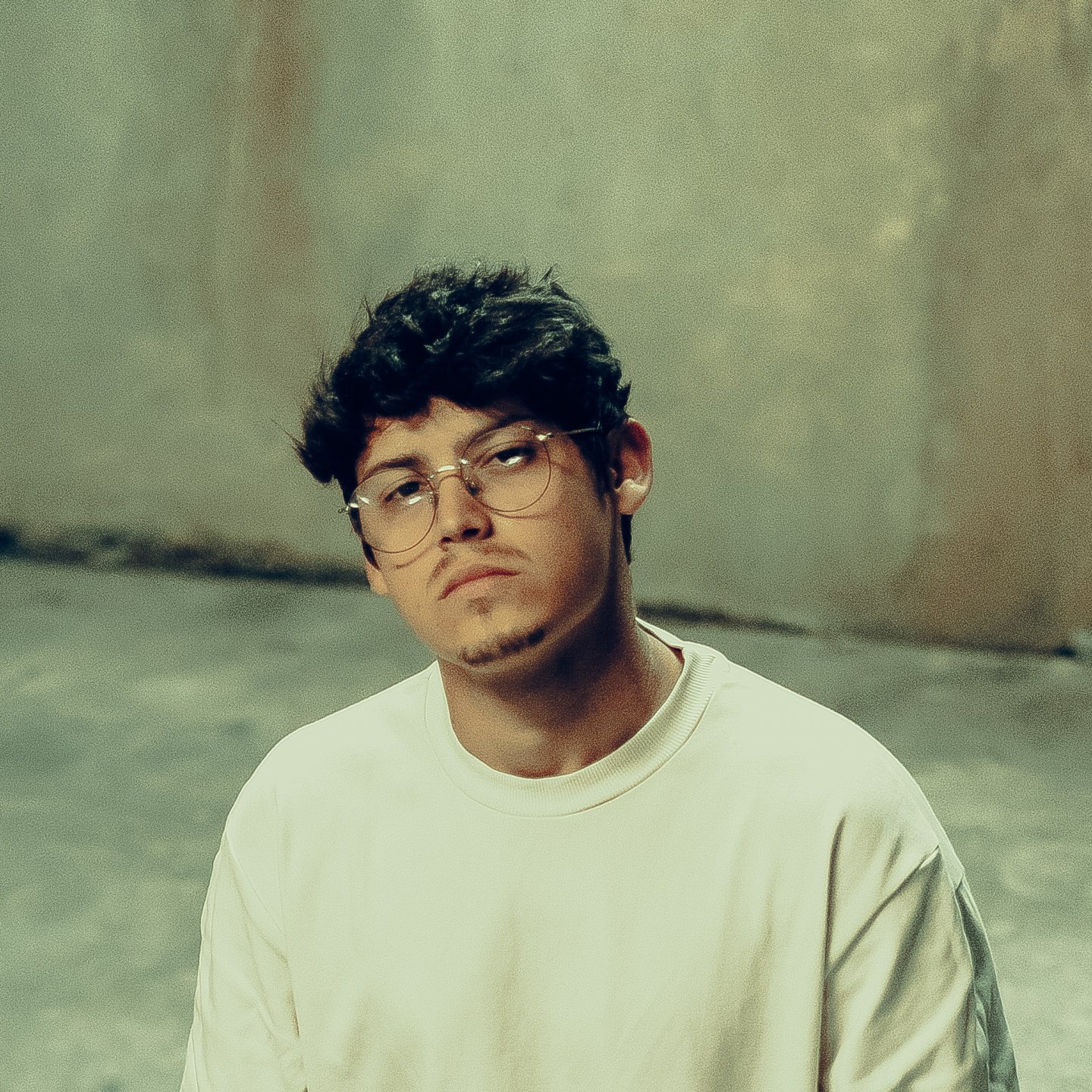 RaF Artist Profile raf-artist-profile