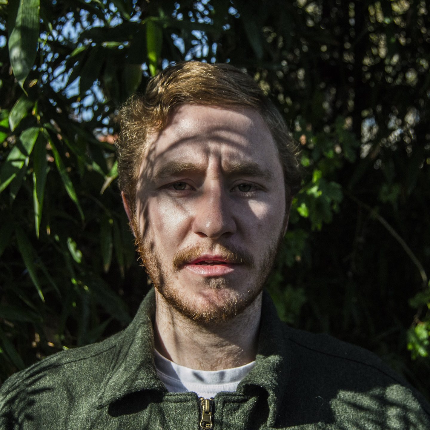 Raymond (2) · Artist Profile