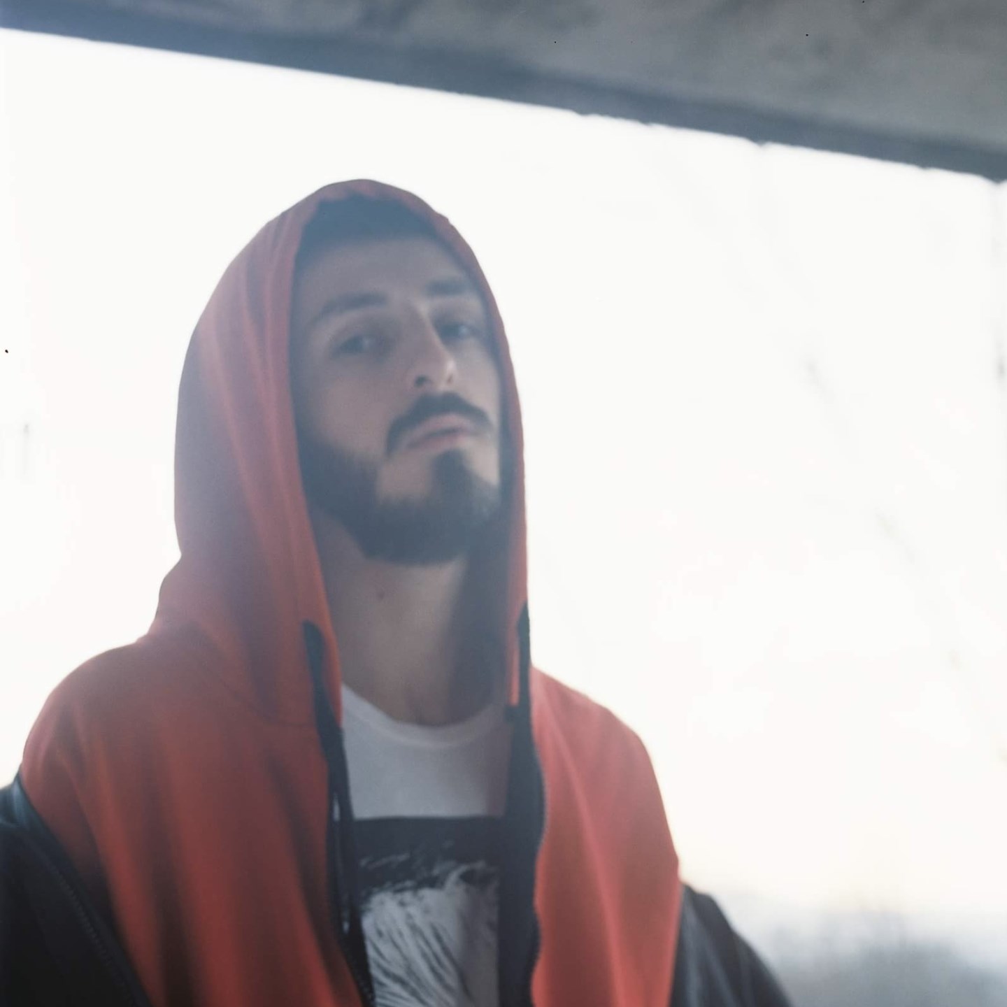 RINDI · Artist Profile