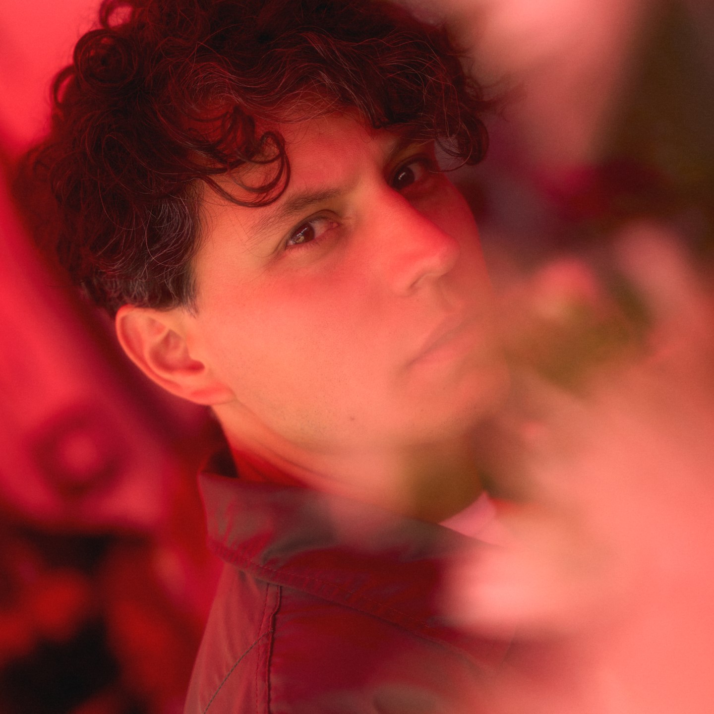 Rosarito 1/2 · Artist Profile