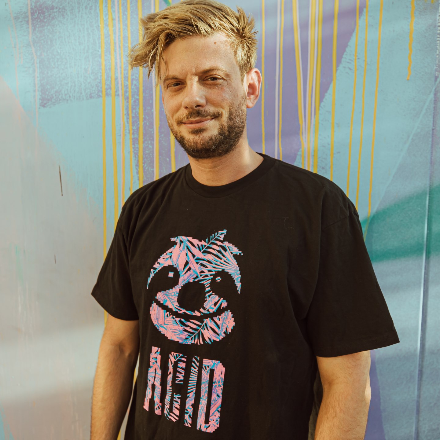 洋楽 Michaelsoft/Mr.Ho Mr. Ho - Michaelsoft | NEWTONE RECORDS