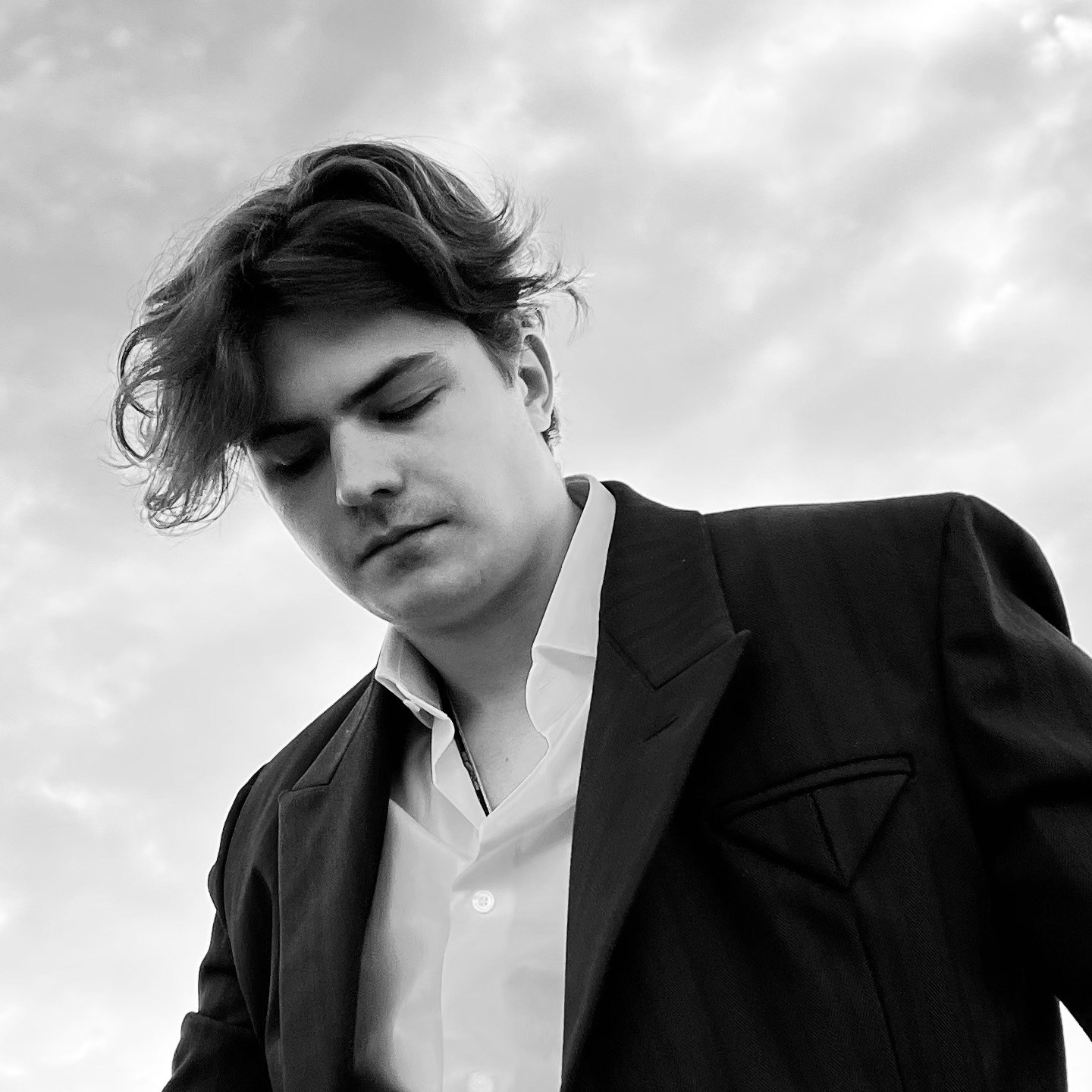 sche · Artist Profile