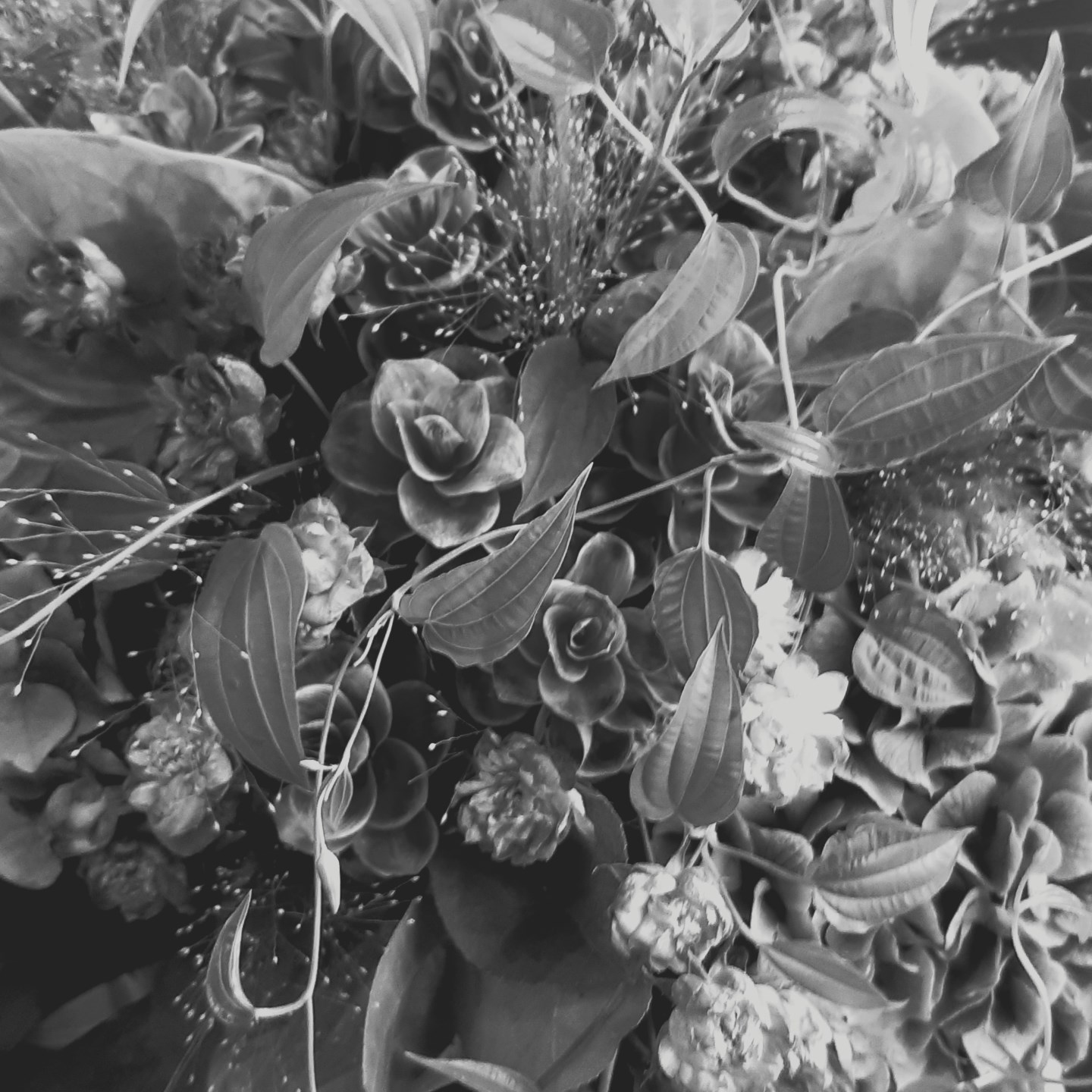 Shogo. · Artist Profile