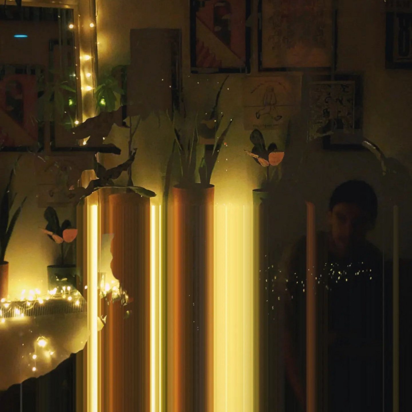 shooobs-artist-profile