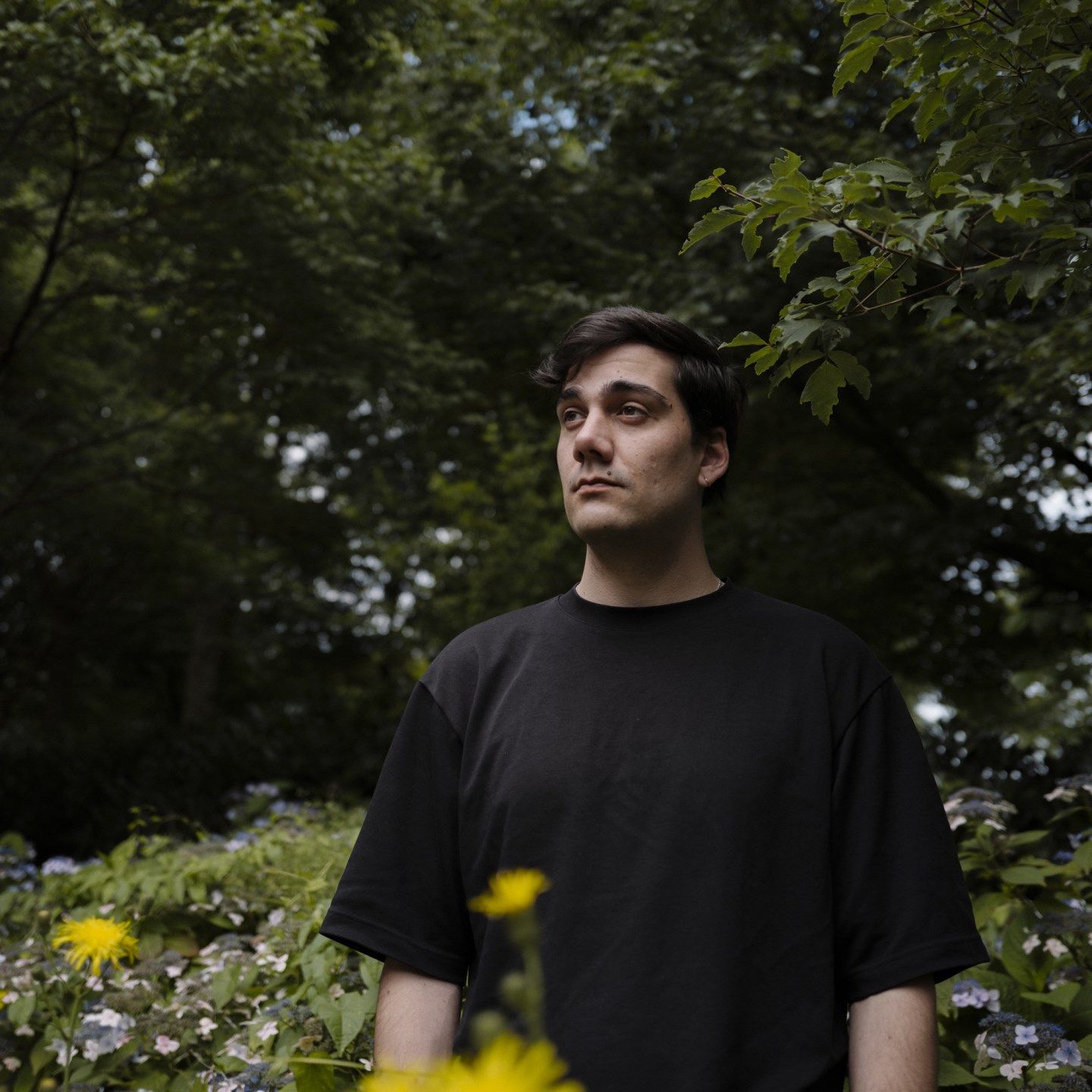 SOLIT GRUPPE WIKI visual data 4