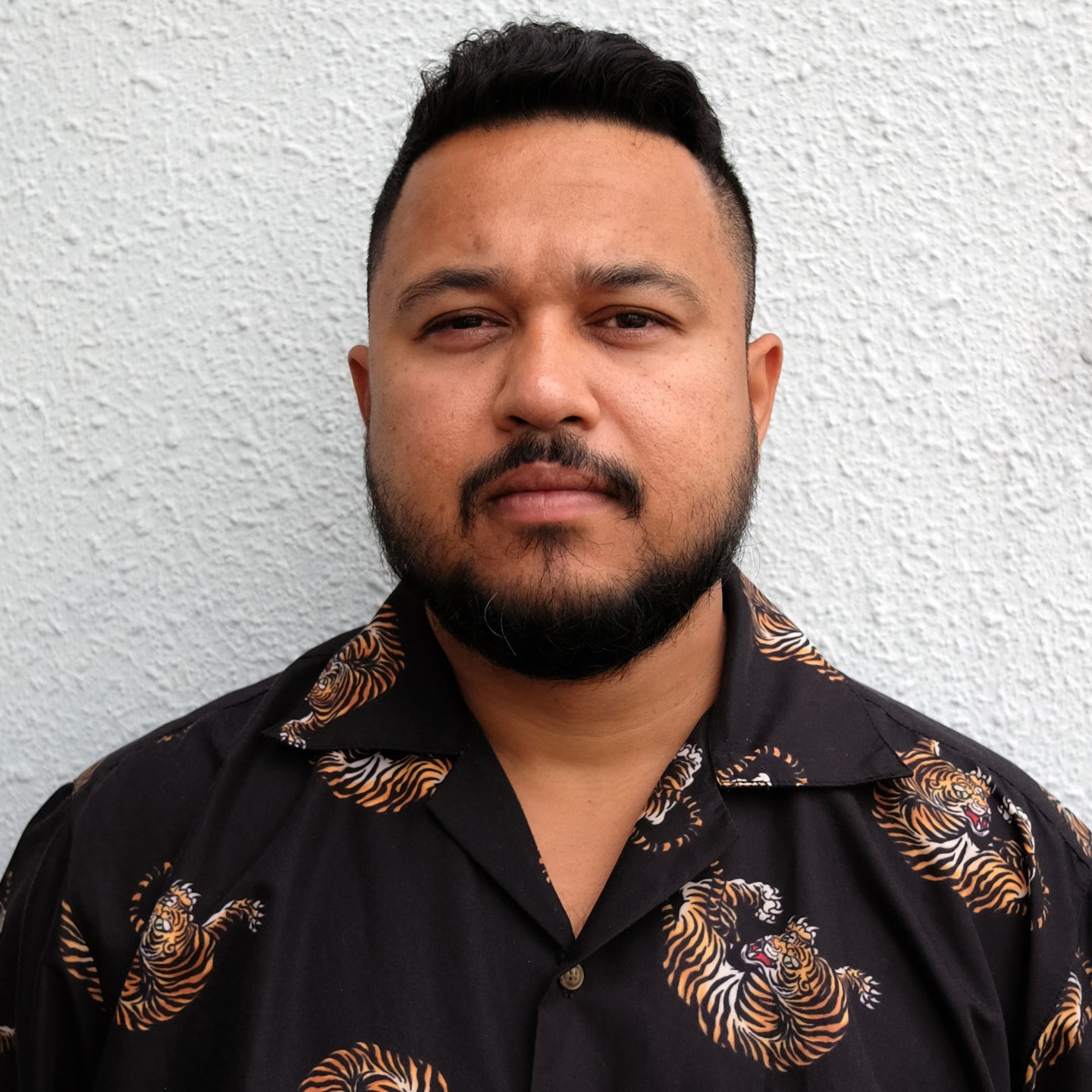 VAIBS Artist Profile vaibs-artist-profile