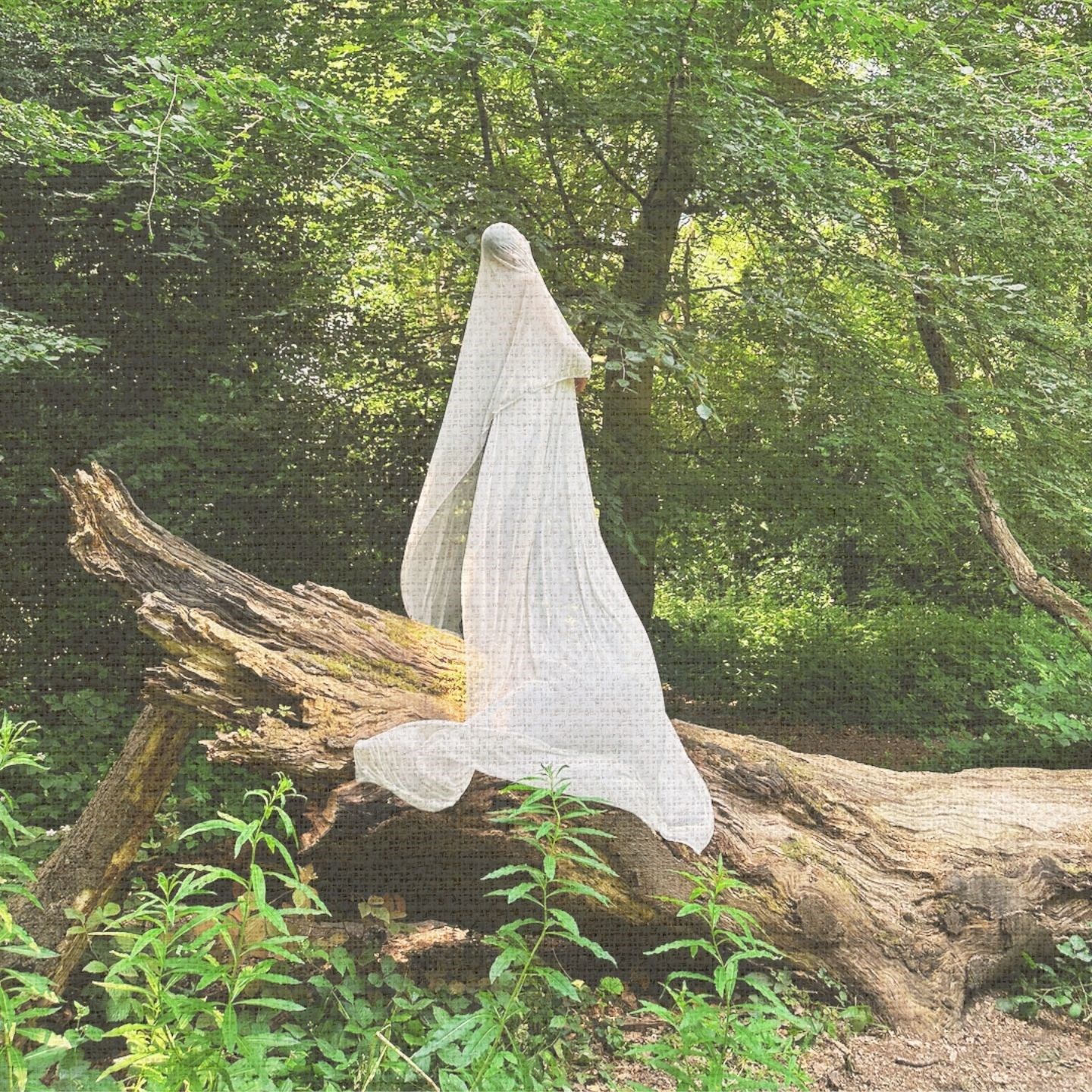 Veil Error · Artist Profile