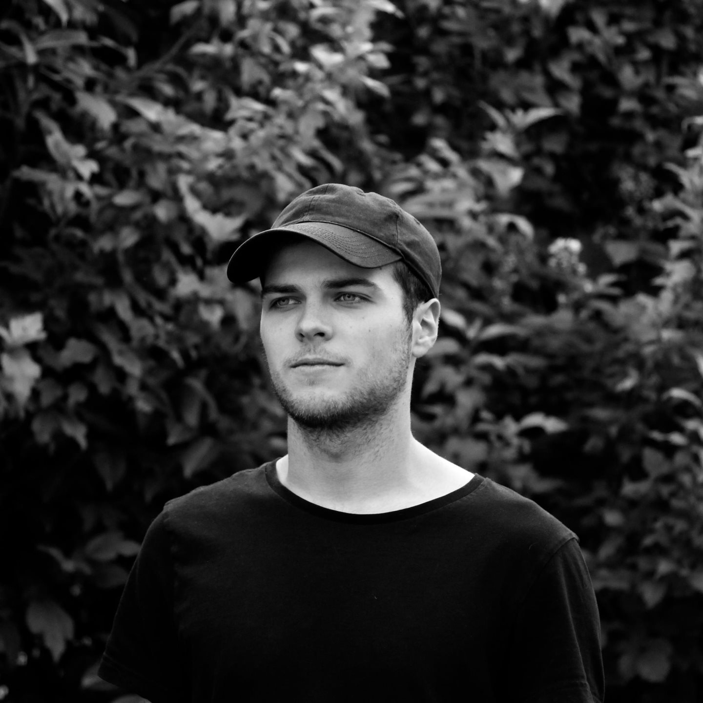Voltery · Artist Profile