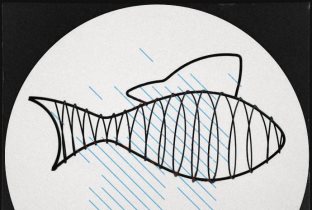 Wire Fish · Artist Profile