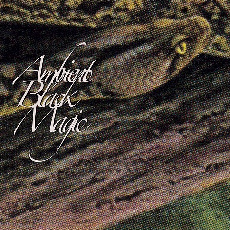 Rainforest Spiritual Enslavement - Ambient Black Magic · Album